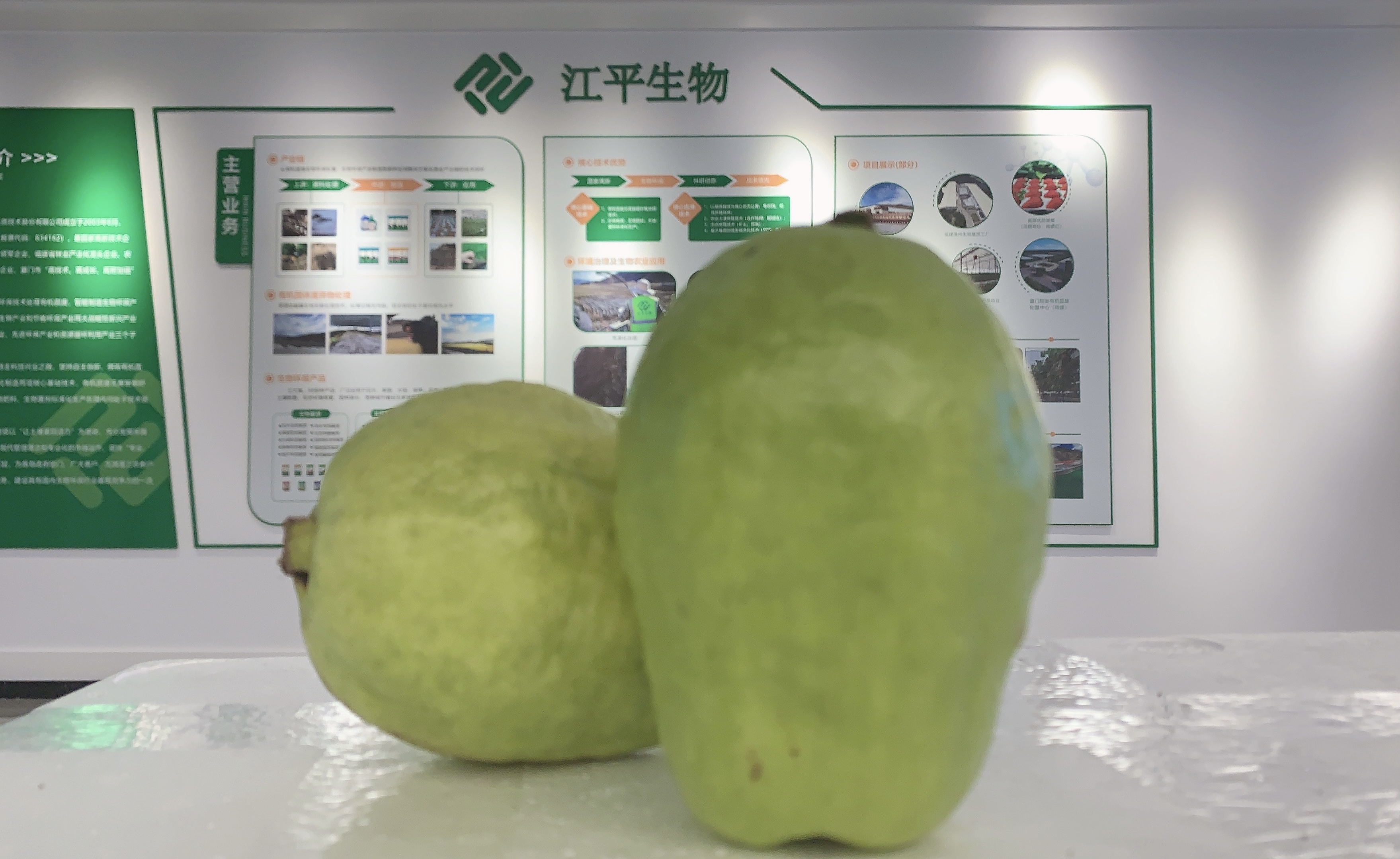 MrCat猫先生电竞(中国)官方网站