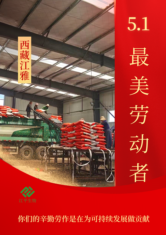 MrCat猫先生电竞(中国)官方网站